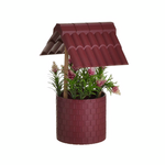 Click Φυτο σε Γλαστρακι Διαφορα Χρωματα pl.