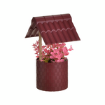 Click Φυτο σε Γλαστρακι Διαφορα Χρωματα pl.