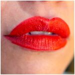 Lorin Kissproof Velvet Matte Lip