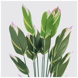 Διακοσμητικό Φυτό σε Γλάστρα Lucky Inart Πράσινο Φ80x180εκ