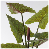 Διακοσμητικό Φυτό σε Γλάστρα Wentii Inart Πράσινο Φ130x180εκ