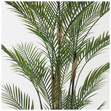 Διακοσμητικό Φυτό σε Γλάστρα Kwai Inart Πράσινο Φ125x180εκ