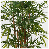 Διακοσμητικό Φυτό σε Γλάστρα Rhapis Palm Inart Πράσινο Φ60x120εκ