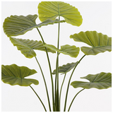 Διακοσμητικό Φυτό σε Γλάστρα Alocasia Inart Πράσινο Φ90x120εκ