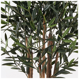 Διακοσμητικό Φυτό σε Γλάστρα Olia Inart Πράσινο Φ52x120εκ