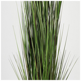 Διακοσμητικό Φυτό σε Γλάστρα Βoxwood Inart Πράσινο Φ46x150εκ