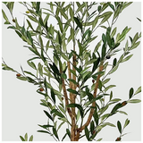 Διακοσμητικό Φυτό σε Γλάστρα Olia Inart Πράσινο 65x55x180εκ