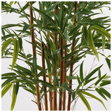 Διακοσμητικό Φυτό σε Γλάστρα Rhapis Palm Inart Πράσινο Φ80x180εκ