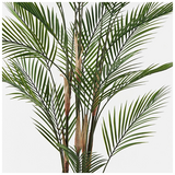 Διακοσμητικό Φυτό σε Γλάστρα Kwai Inart Πράσινο Φ92x150εκ