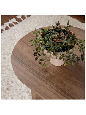 Τραπέζι Σαλονιού Tabletod Pakoworld σε Καρυδί Απόχρωση 119x60x40εκ