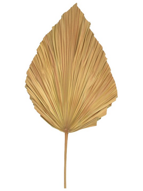 Διακοσμητικό Φύλλο Walsy Inart Palm Leaf σε Φυσική Απόχρωση Υ135 εκ