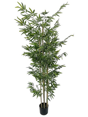 Διακοσμητικό Φυτό Bamboo σε Γλάστρα Inart Πράσινο pp Υ190εκ