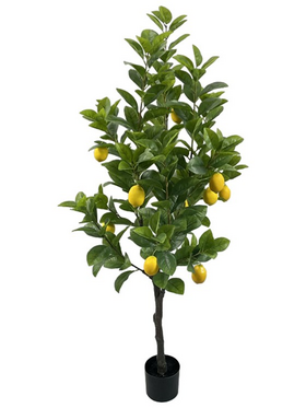 Διακοσμητικό Φυτό Lemon Tree σε Γλάστρα Inart Πράσινο pp Υ150εκ