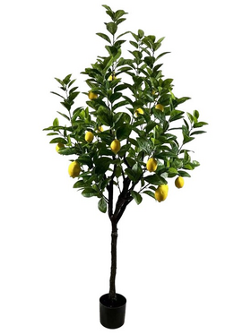 Διακοσμητικό Φυτό Lemon Tree σε Γλάστρα Inart Πράσινο pp Υ180εκ