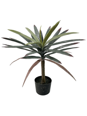 Διακοσμητικό Φυτό Dracaena Palm σε Γλάστρα Inart Πράσινο pp Υ62εκ
