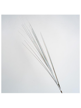 Κλαδι, Ασημι Μεταλιζε, 80cm