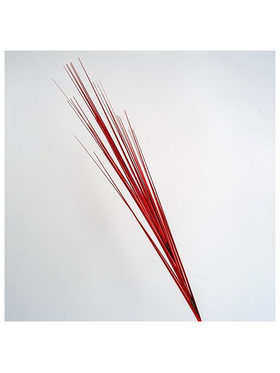 Κλαδι, Κοκκινο Μεταλιζε, 80cm