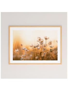 Πίνακας Floraza Pakoworld με Ψηφιακή Εκτύπωση και Πλαίσιο 48x1.5x33εκ