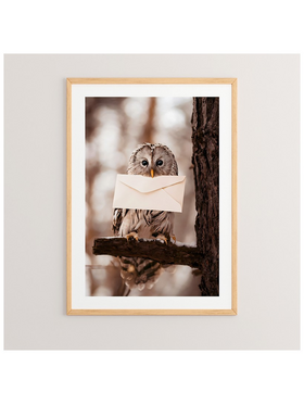 Πίνακας Owlyne Pakoworld με Ψηφιακή Εκτύπωση και Πλαίσιο 33x1.5x48εκ