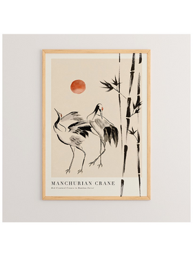 Πίνακας Birdo Pakoworld με Ψηφιακή Εκτύπωση και Πλαίσιο 33x1.5x48εκ