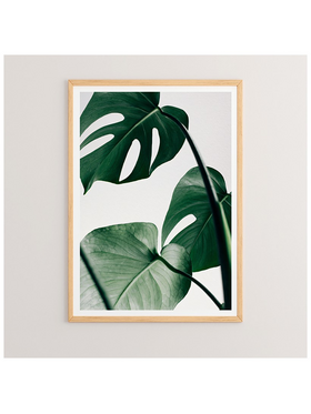 Πίνακας Leafy Pakoworld με Ψηφιακή Εκτύπωση και Πλαίσιο 33x1.5x48εκ