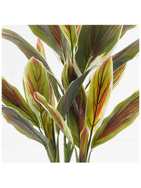 Διακοσμητικό Φυτό σε Γλάστρα Cycas Inart Πράσινο Φ55x80εκ