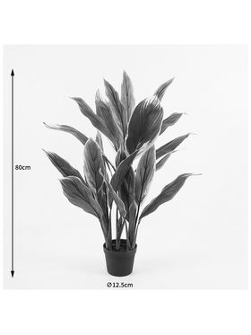 Διακοσμητικό Φυτό σε Γλάστρα Cycas Inart Πράσινο Φ55x80εκ