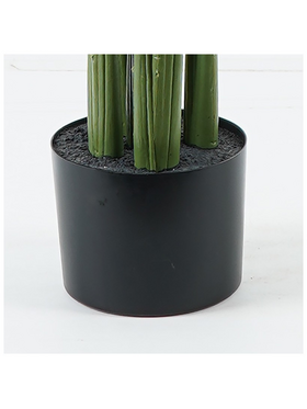 Διακοσμητικό Φυτό σε Γλάστρα Aglaonema Inart Πράσινο Φ80x150εκ