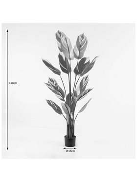 Διακοσμητικό Φυτό σε Γλάστρα Aglaonema Inart Πράσινο Φ80x150εκ