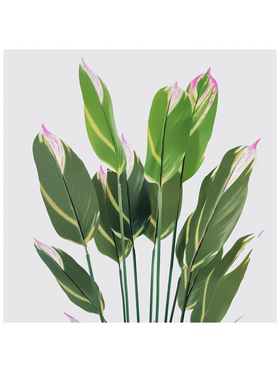 Διακοσμητικό Φυτό σε Γλάστρα Lucky Inart Πράσινο Φ80x180εκ