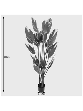 Διακοσμητικό Φυτό σε Γλάστρα Lucky Inart Πράσινο Φ80x180εκ