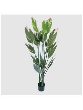 Διακοσμητικό Φυτό σε Γλάστρα Lucky Inart Πράσινο Φ80x180εκ