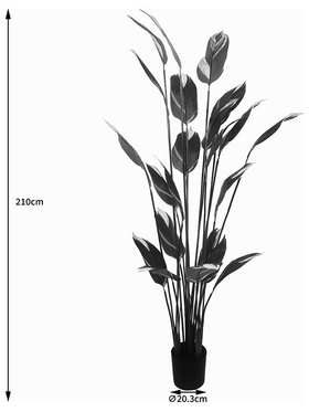 Διακοσμητικό Φυτό σε Γλάστρα Lucky i Inart Πράσινο Φ80x210εκ