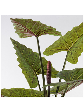 Διακοσμητικό Φυτό σε Γλάστρα Wentii Inart Πράσινο Φ130x180εκ