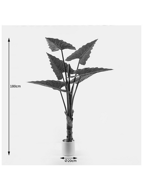 Διακοσμητικό Φυτό σε Γλάστρα Wentii Inart Πράσινο Φ130x180εκ