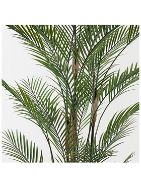 Διακοσμητικό Φυτό σε Γλάστρα Kwai Inart Πράσινο Φ125x180εκ