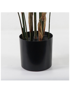 Διακοσμητικό Φυτό σε Γλάστρα Kwai Inart Πράσινο Φ125x180εκ