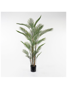 Διακοσμητικό Φυτό σε Γλάστρα Kwai Inart Πράσινο Φ125x180εκ