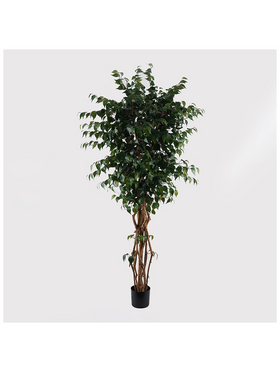 Διακοσμητικό Φυτό σε Γλάστρα Banyan Inart Πράσινο Φ95x180εκ