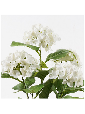 Διακοσμητικό Φυτό σε Γλάστρα Hydrangea Inart Λευκό Φ35x50εκ