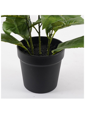 Διακοσμητικό Φυτό σε Γλάστρα Hydrangea Inart Λευκό Φ35x50εκ