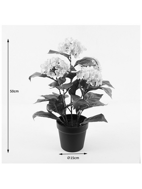 Διακοσμητικό Φυτό σε Γλάστρα Hydrangea Inart Λευκό Φ35x50εκ