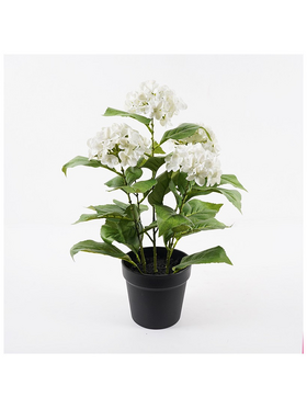 Διακοσμητικό Φυτό σε Γλάστρα Hydrangea Inart Λευκό Φ35x50εκ