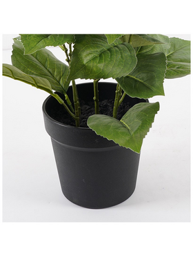 Διακοσμητικό Φυτό σε Γλάστρα Hydrangea Inart ροζ Φ35x50εκ