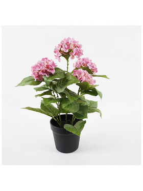 Διακοσμητικό Φυτό σε Γλάστρα Hydrangea Inart ροζ Φ35x50εκ