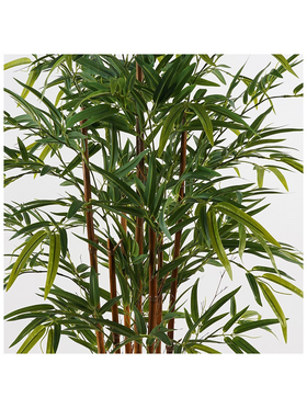 Διακοσμητικό Φυτό σε Γλάστρα Rhapis Palm Inart Πράσινο Φ60x120εκ