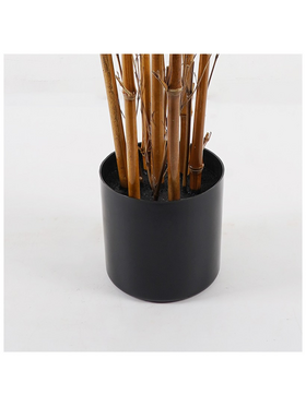 Διακοσμητικό Φυτό σε Γλάστρα Rhapis Palm Inart Πράσινο Φ60x120εκ