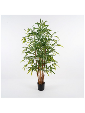 Διακοσμητικό Φυτό σε Γλάστρα Rhapis Palm Inart Πράσινο Φ60x120εκ