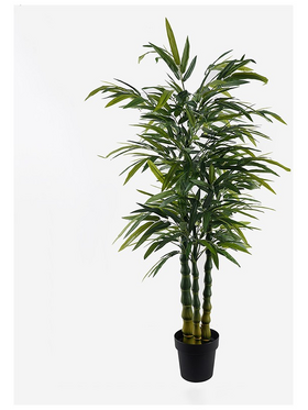 Διακοσμητικό Φυτό σε Γλάστρα Arti Bamboo Inart Πράσινο Φ70x150εκ