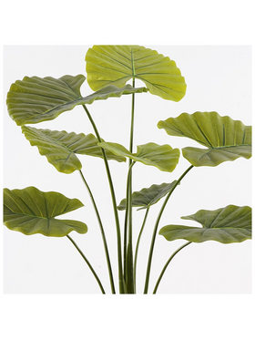 Διακοσμητικό Φυτό σε Γλάστρα Alocasia Inart Πράσινο Φ90x120εκ